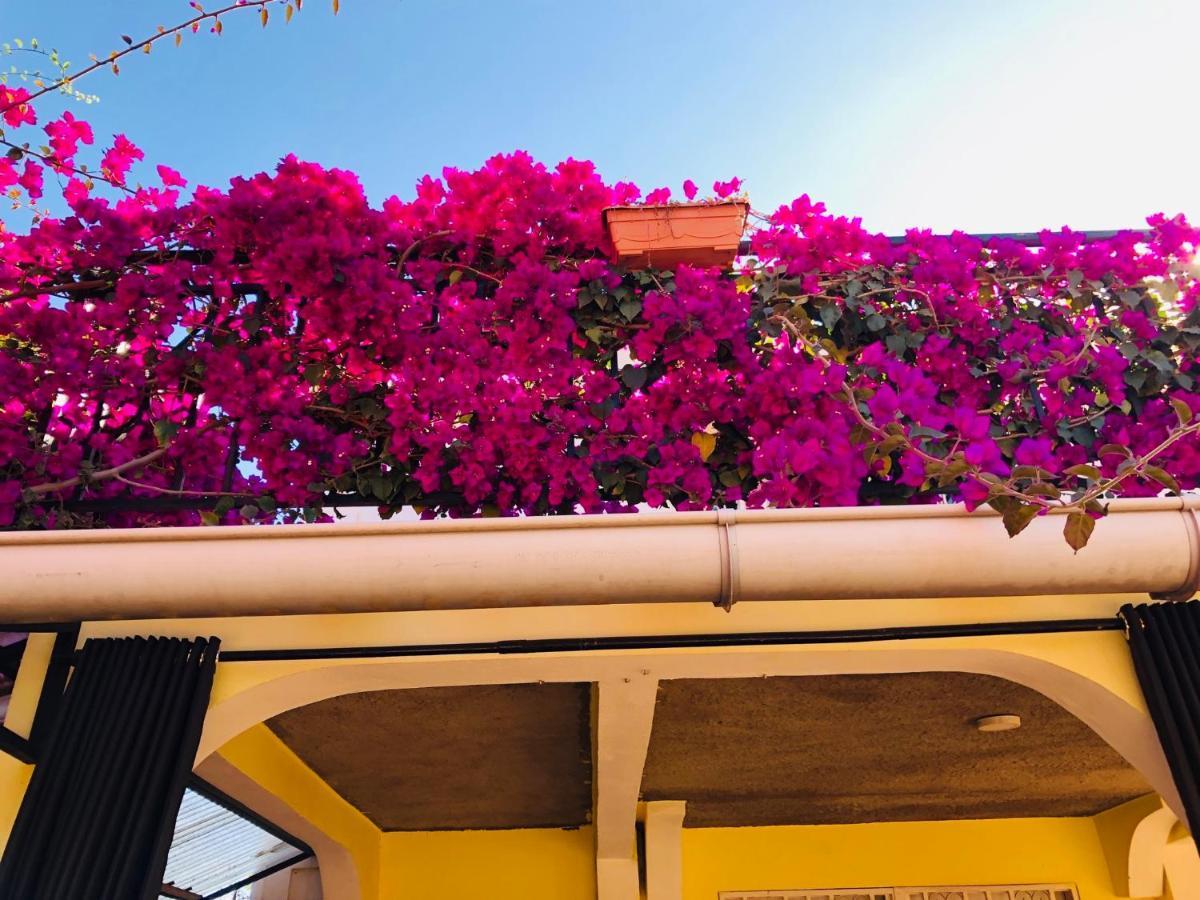 Petite Flower Guest House Talata-maty Exterior foto