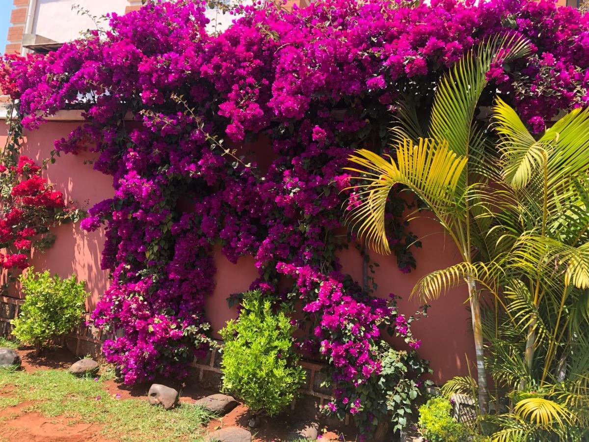 Petite Flower Guest House Talata-maty Exterior foto